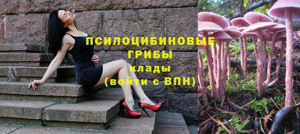 молекула духа Нея